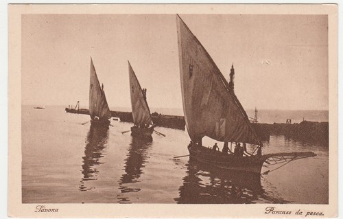 Savona paranze da pesca - -,