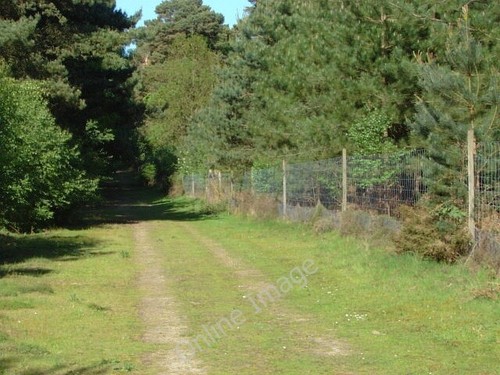 Photo 6x4 swinley forest north - forest,