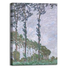 Monet effetto vento design