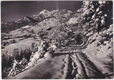 PIEVE DI CADORE - BELLUNO -