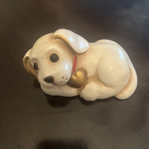 Thun piccolo cane labrador