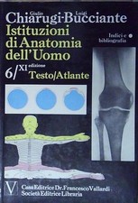 Chiarugi bucciante ISTITUZIONI