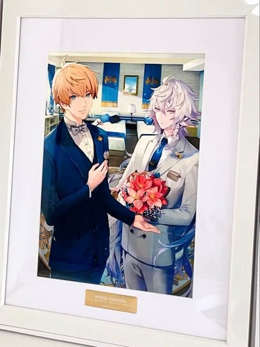 Camera camelot fgo hotel - camera,