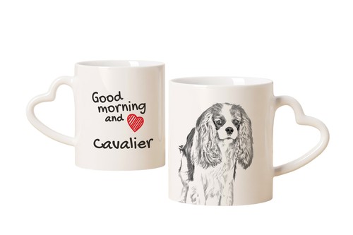 Cavalier king charles spaniel - charles,