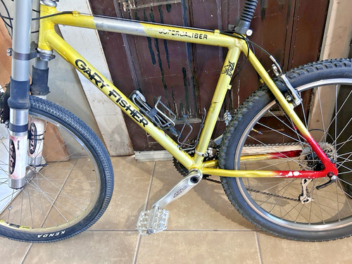 Telaio bici mtb gary - telaio,