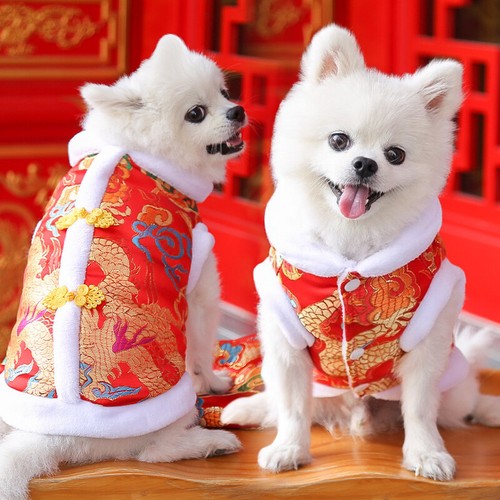 Cappotto caldo cane - , animale