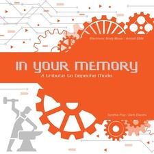 2CD : V.A. - In Your Memory 1