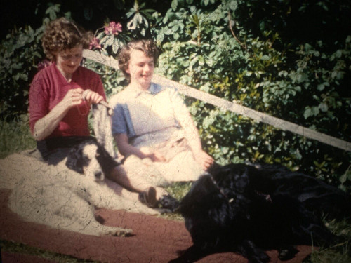 16mm silent amateur - silent, kodachrome