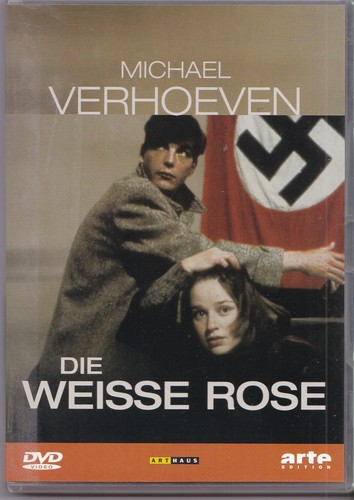Die weiße rose lena - weiße,