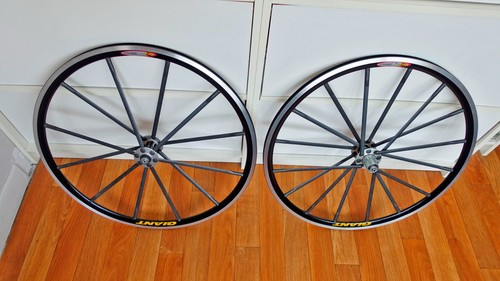 Giant mcr tcr - giant,