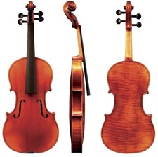 Violino - Violino Maestro  41
