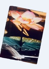 QUADRO STAMPA SU TELA ? NATURA ✨???57x42x3