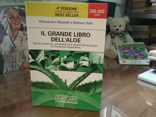 Grande libro - il,