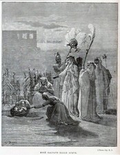 🟢  ANTICA STAMPA GUSTAVO