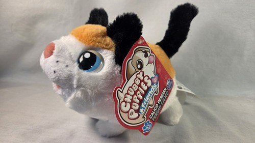 Peluche persiano gatto - , calico