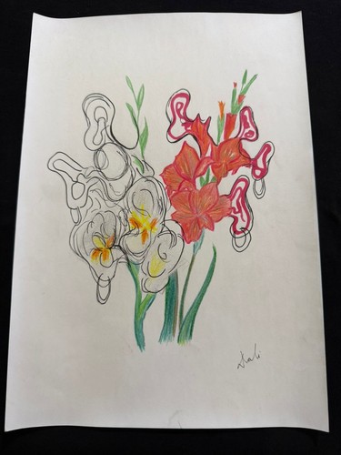 Salvador dali quadro disegno - salvador,