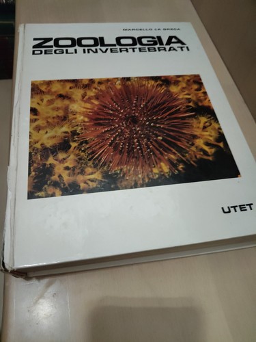 Libro biologia invertebrati - libro,