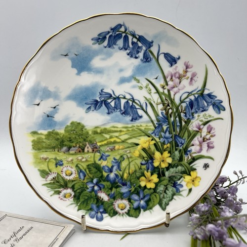 Piatto vintage collezione - piatto,