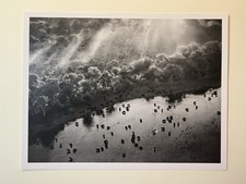 Sebastião salgado genesis - salgado,