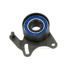 Tendicinghia Cinghia dentata