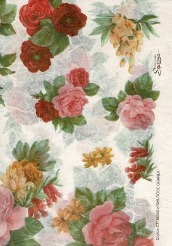 Foglio 30x50 carta riso - 30x50, di