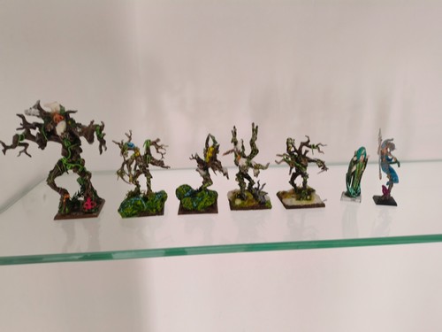 Warhammer fantasy elfi silvani - fantasy,