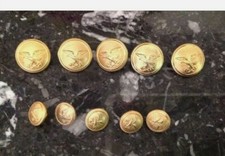 Gold buttons for forestry body