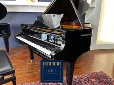 Pianoforte coda steinway - pianoforte, a