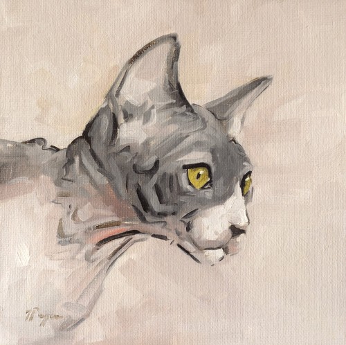 Sphynx gatto arte - ,