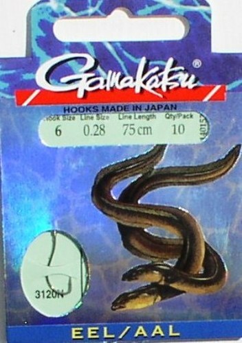 Anguilla gamakatsu rilegata - gamakatsu,