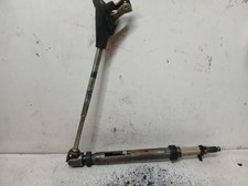 CANNA DELLO STERZO (PIANTONE)