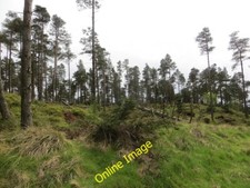 Photo 6x4 turflundie wood - 6x4,