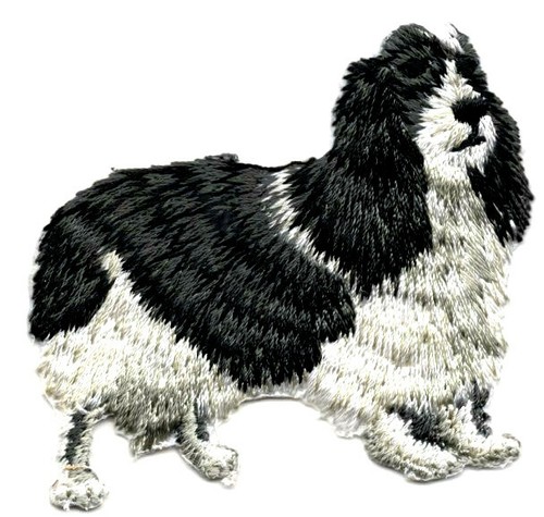 Cocker spaniel ferro stiro - ferro,