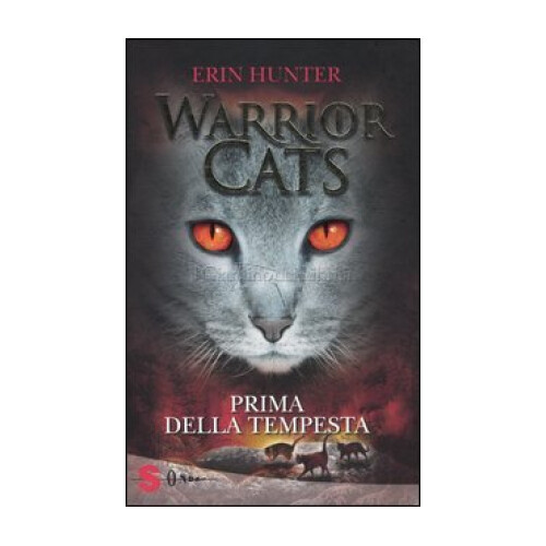 Libro prima della - libro, tempesta