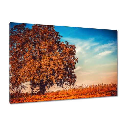 Quadro tela da - quadro, su