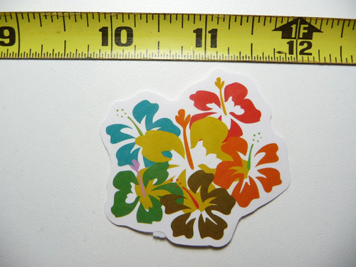 Vari colori fiori ibisco - di,