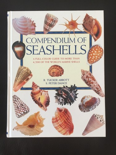 Compendium seashells 200 - of,