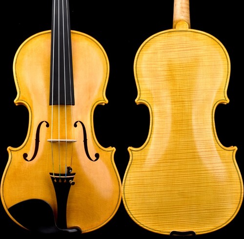 T31 violino bianco stile - t31+,