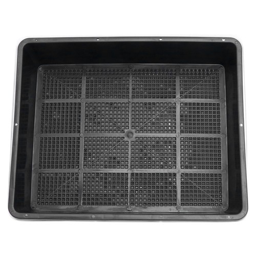Grow box serra succulenta - grow,
