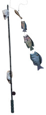 Fishing Pole with Fish On Line