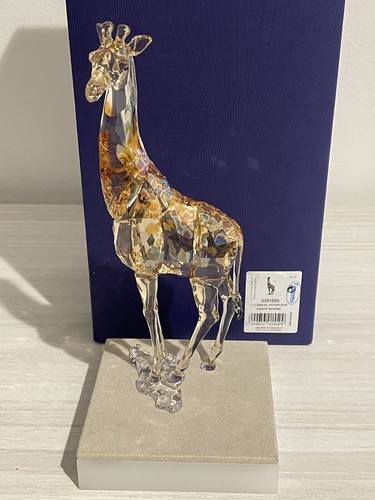 Swarovski scs mudiwa annual - scs,
