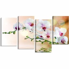 Orchidea riflesso 3 Quadro su