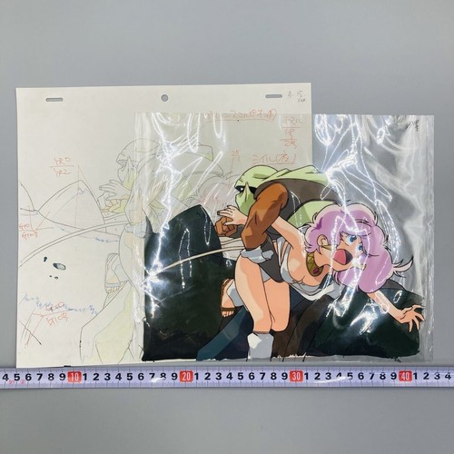 Anime cel picture - picture, rance