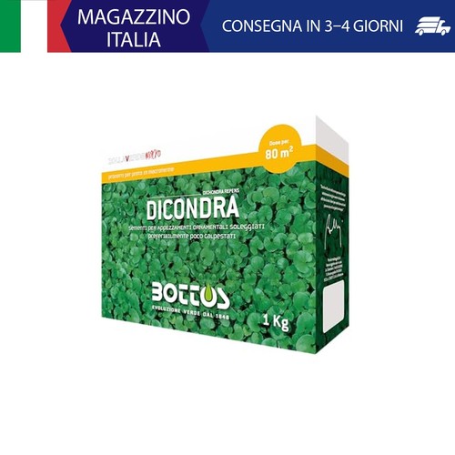 Bottos dicondra repens semi - bottos,