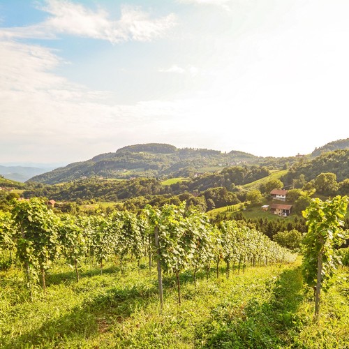 Breve viaggio hotel - viaggio, austria