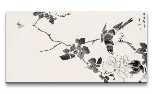 120x60cm remaster bellissima - 120x60cm,