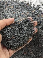 Cenere Riso Bruciato Biologico