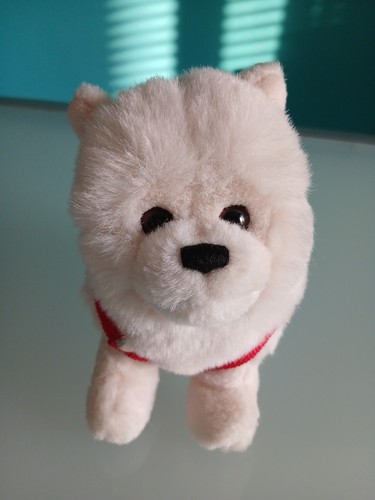 Trudi peluche cane colore - "trudi",