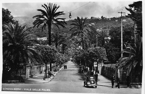 Cartolina genova nervi - nervi, viale
