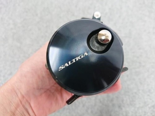 Daiwa saltiga 300hl - daiwa,
